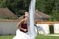 les maries 95 * 3872 x 2592 * (2.0MB)